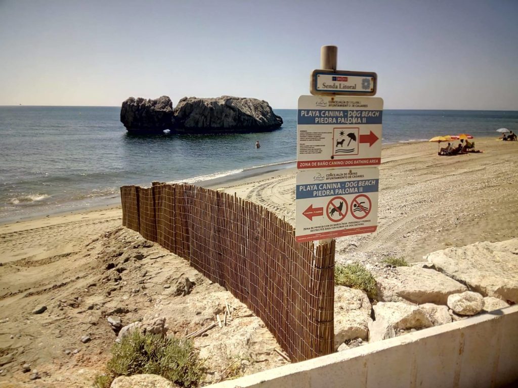 Estas son las playas de perros que puedes disfrutar este verano con tu mascota en la Costa del Sol - IMG 5381 Estas son las playas de perros que puedes disfrutar este verano con tu mascota en la Costa del Sol - IMG 5381