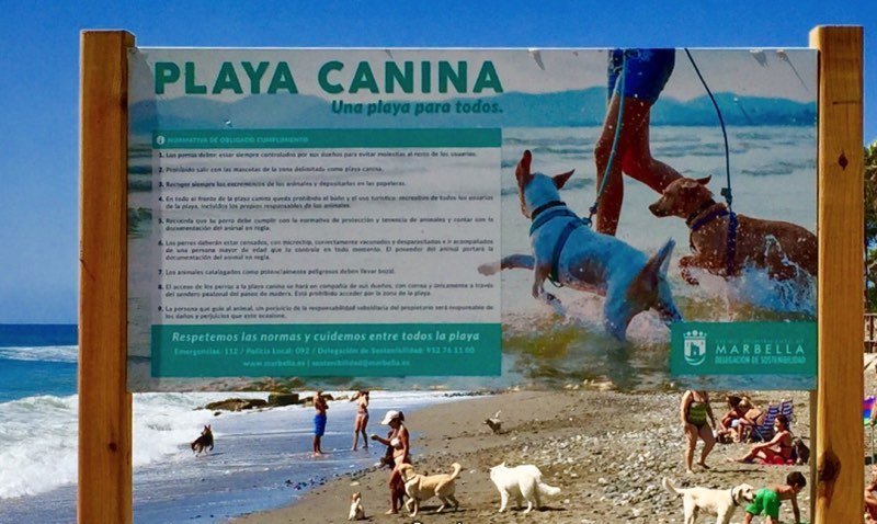 Estas son las playas de perros que puedes disfrutar este verano con tu mascota en la Costa del Sol - IMG 5383 Estas son las playas de perros que puedes disfrutar este verano con tu mascota en la Costa del Sol - IMG 5383