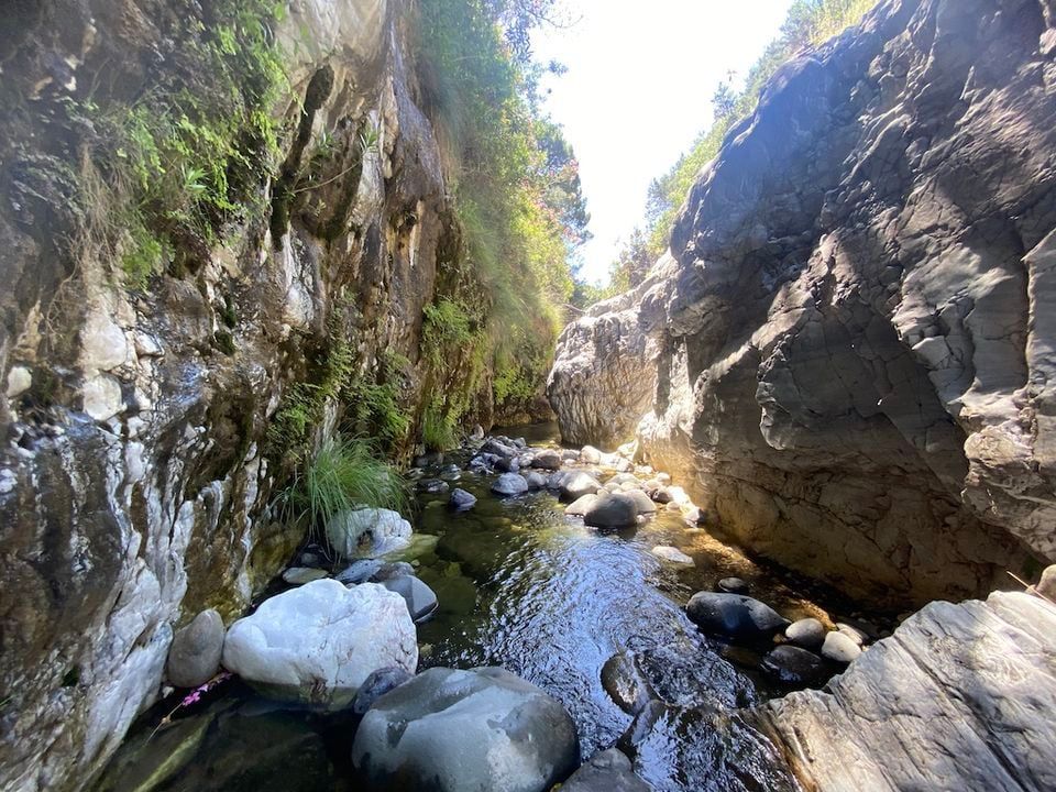 Sufre una caída en el barranco de Las Angosturas y es rescatado por los Bomberos de Marbella - WhatsApp Image 2023 06 21 at 17.11.14 Sufre una caída en el barranco de Las Angosturas y es rescatado por los Bomberos de Marbella - WhatsApp Image 2023 06 21 at 17.11.14