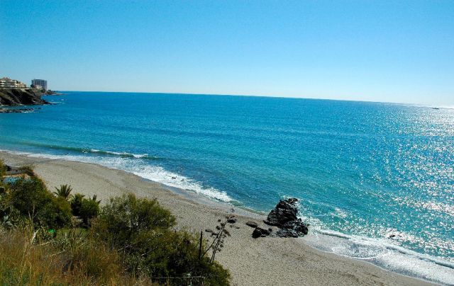 Estas son las playas de perros que puedes disfrutar este verano con tu mascota en la Costa del Sol - image Estas son las playas de perros que puedes disfrutar este verano con tu mascota en la Costa del Sol - image