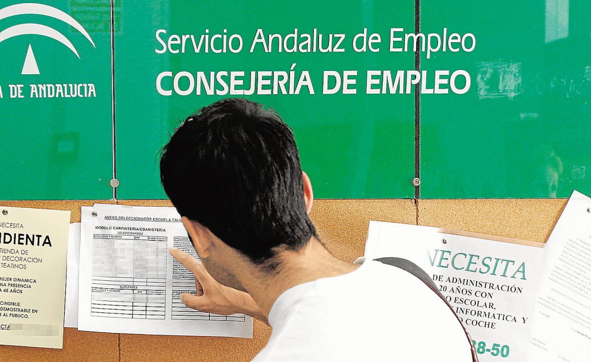 Marbella registró cifras históricas de empleo en el mes de mayo - sae Servicio Andaluz Empleo