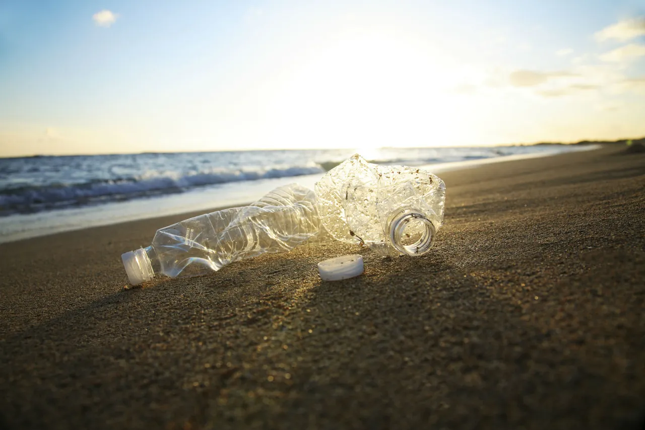 El 75% de los residuos recogidos durante el mes de junio en las playas de la Costa del Sol era plástico - 132708