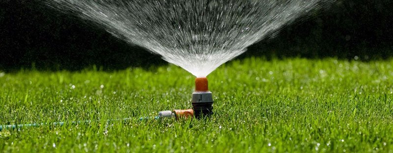 Reducir en un 20% el uso de agua en espacios verdes, una de las medidas para la sequía en Marbella - IMG 7741