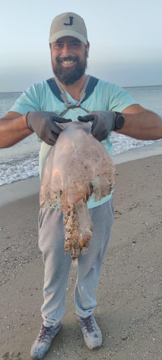 Aparece una medusa gigante de más de 5 kilos en una playa de Manilva - IMG 7775 Aparece una medusa gigante de más de 5 kilos en una playa de Manilva - IMG 7775