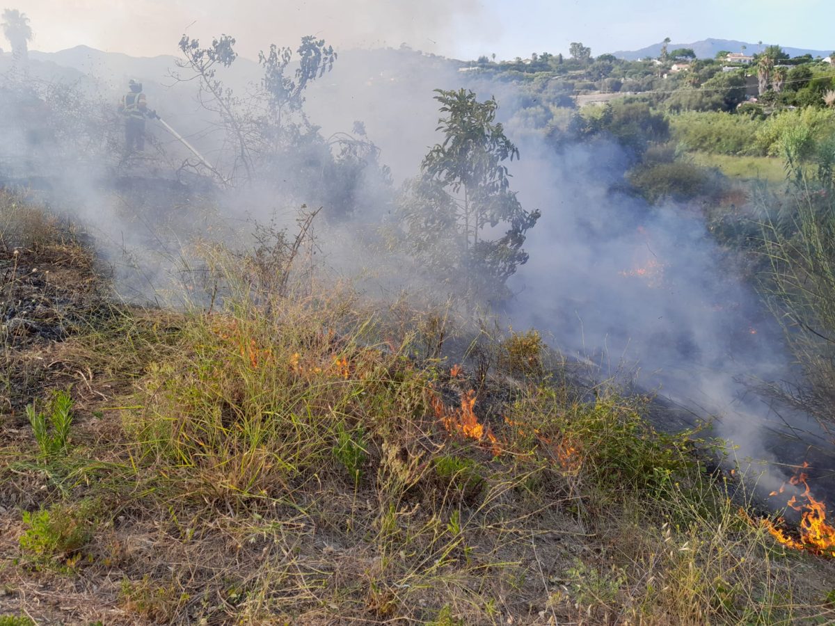 Declarado un incendio forestal en la zona del Padrón en Estepona - Incendio forestal Estepona Declarado un incendio forestal en la zona del Padrón en Estepona - Incendio forestal Estepona