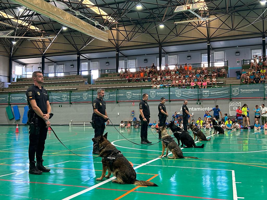 La Unidad Canina de la Policía Local de Torremolinos realiza una exhibición en honor al Día Mundial del Perro - WhatsApp Image 2023 07 21 at 15.31.03 La Unidad Canina de la Policía Local de Torremolinos realiza una exhibición en honor al Día Mundial del Perro - WhatsApp Image 2023 07 21 at 15.31.03