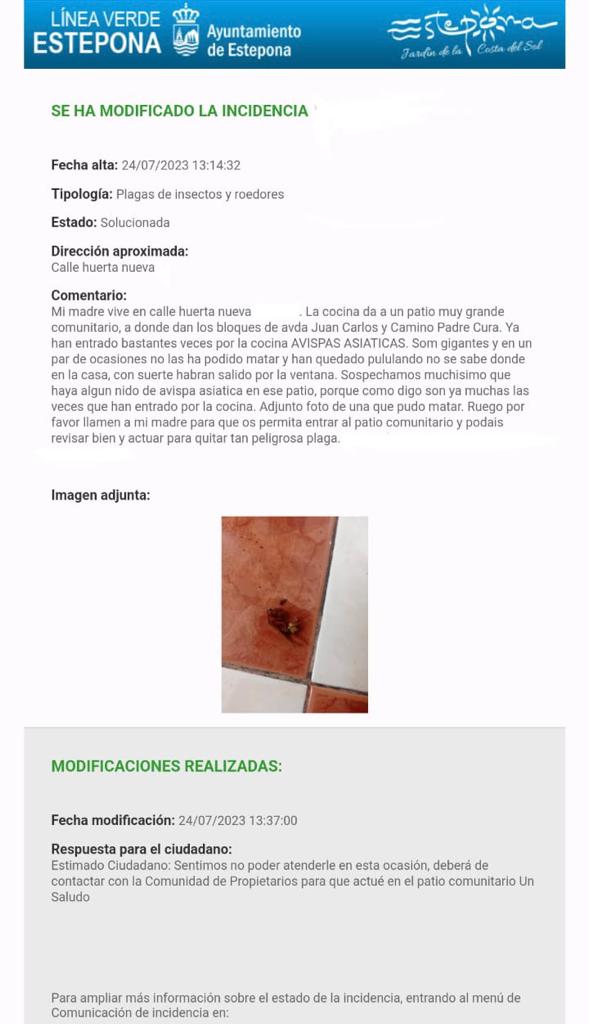 Alertan de la aparición de avispas asiáticas por la Calle Huerta Nueva en Estepona - WhatsApp Image 2023 07 24 at 17.07.04 Alertan de la aparición de avispas asiáticas por la Calle Huerta Nueva en Estepona - WhatsApp Image 2023 07 24 at 17.07.04
