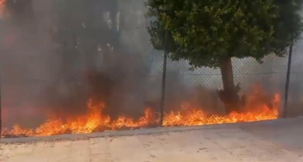 Se declara un incendio urbano en el paraje de Las Chapas en Marbella - WhatsApp Image 2023 07 28 at 16.34.29 Se declara un incendio urbano en el paraje de Las Chapas en Marbella - WhatsApp Image 2023 07 28 at 16.34.29