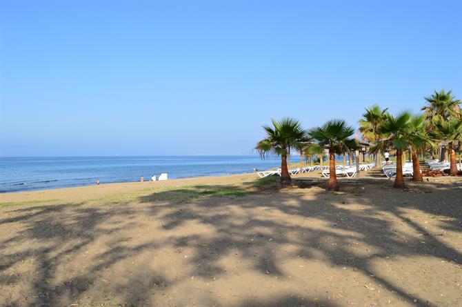 Marbella refuerza sus lazos con China y acogerá un evento mundial relacionado con el turismo - 67 Fill 670 0 Playa de Marbella