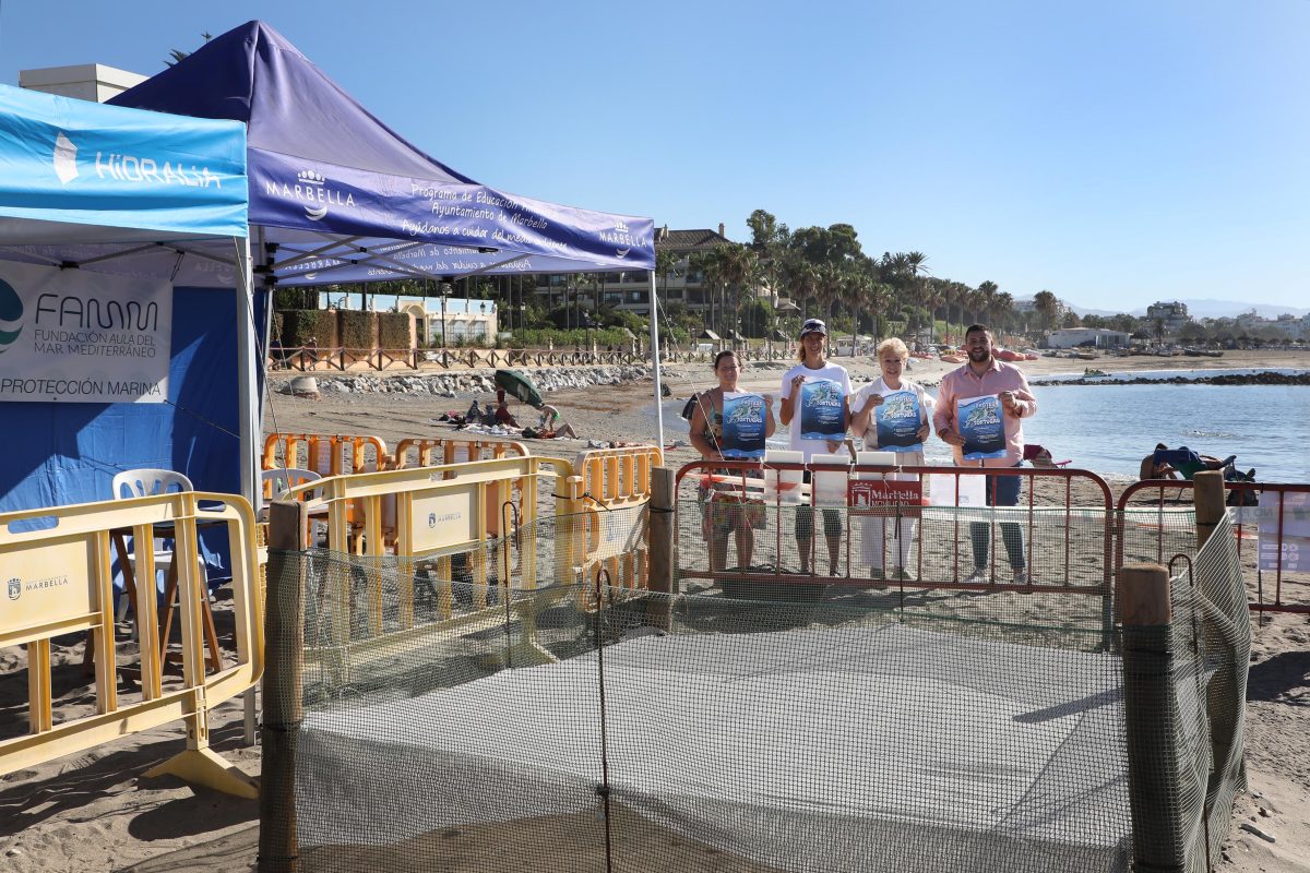 En busca de voluntarios que custodien el nido de la tortuga boba de Puerto Banús - IMG 9563 En busca de voluntarios que custodien el nido de la tortuga boba de Puerto Banús - IMG 9563