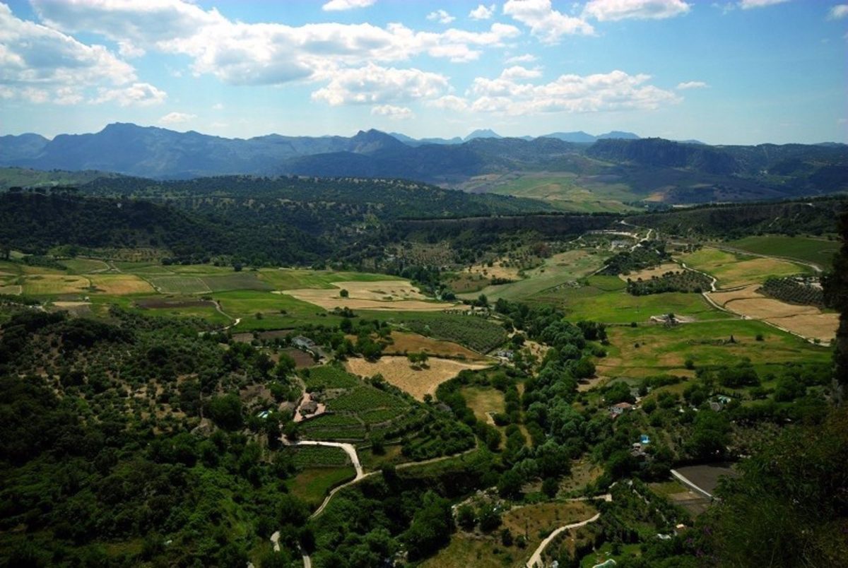 La Diputación refuerza los equipos de tratamiento familiar en la Serranía de Ronda - Serrania de Ronda
