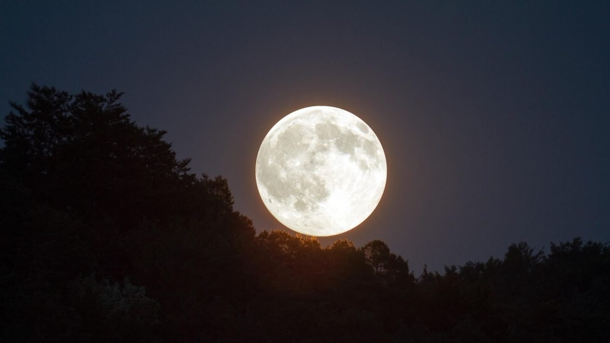 ¿Tomates malagueños cultivados en La Luna? El huerto espacial que podría cambiar el futuro de la agricultura - Superluna Esturion ¿Tomates malagueños cultivados en La Luna? El huerto espacial que podría cambiar el futuro de la agricultura - Superluna Esturion