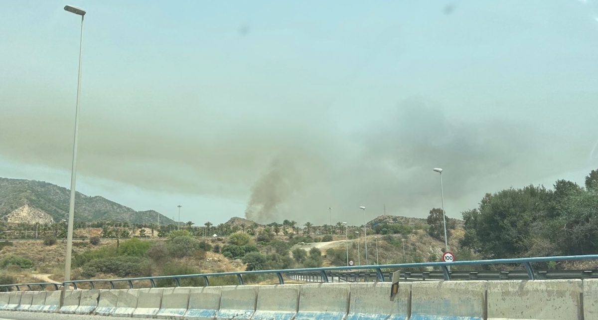 Estabilizado el incendio forestal declarado en Ojén - WhatsApp Image 2023 08 10 at 15.41.24 Estabilizado el incendio forestal declarado en Ojén - WhatsApp Image 2023 08 10 at 15.41.24