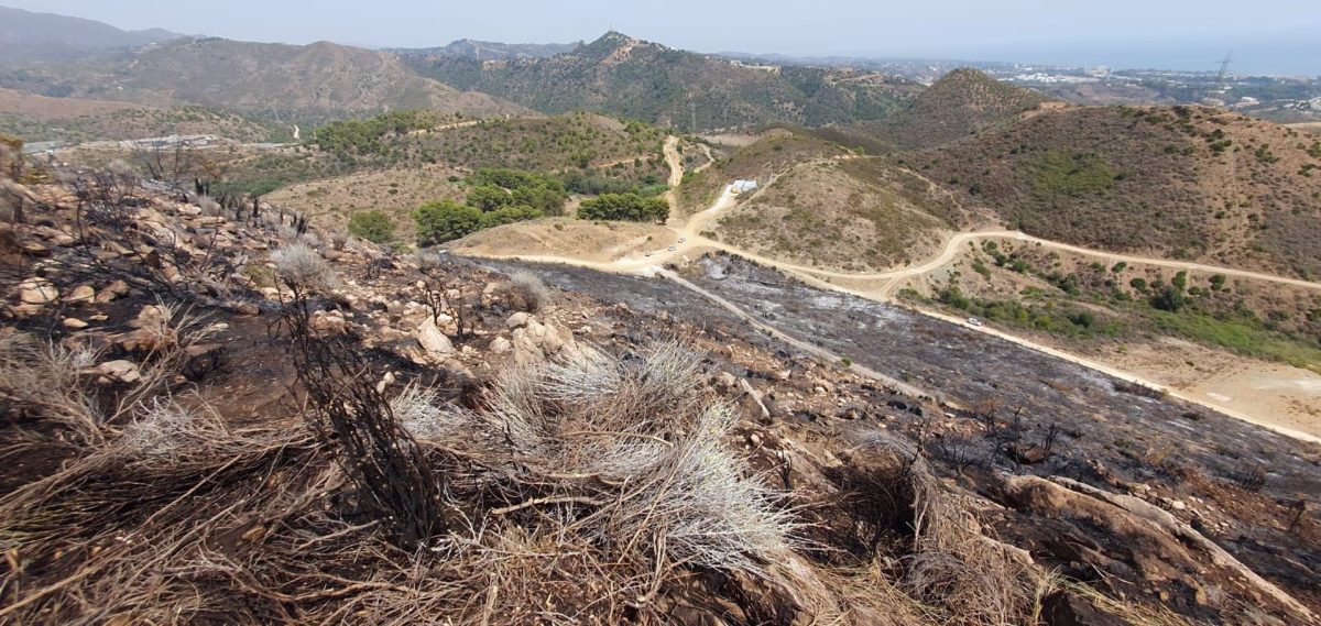 Extinguido el incendio forestal declarado en Ojén - fotonoticia 20230811103812 1920 Extinguido el incendio forestal declarado en Ojén - fotonoticia 20230811103812 1920