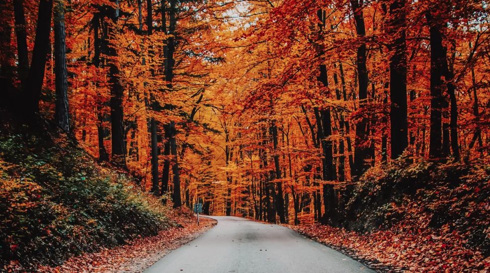 El otoño llega este sábado con viento, noches frescas y calor durante el día - Captura de pantalla 2023 09 22 a las 18.14.06 El otoño llega este sábado con viento, noches frescas y calor durante el día - Captura de pantalla 2023 09 22 a las 18.14.06