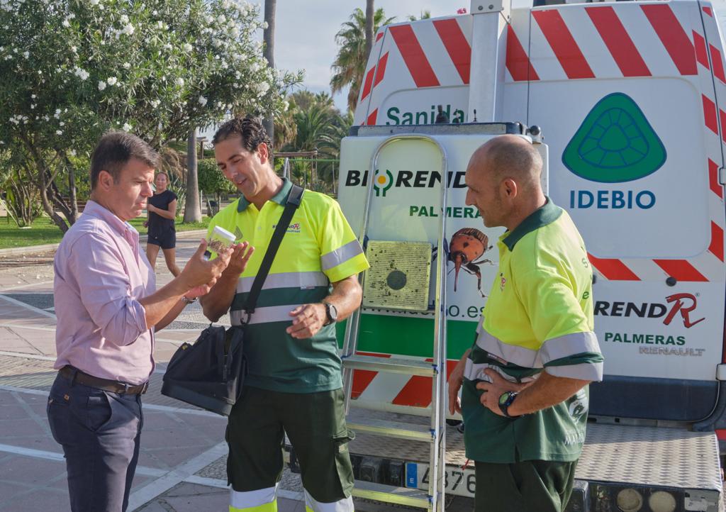 El Ayuntamiento refuerza el control biológico de plagas con la suelta de insectos beneficiosos que las combaten - IMG 564
