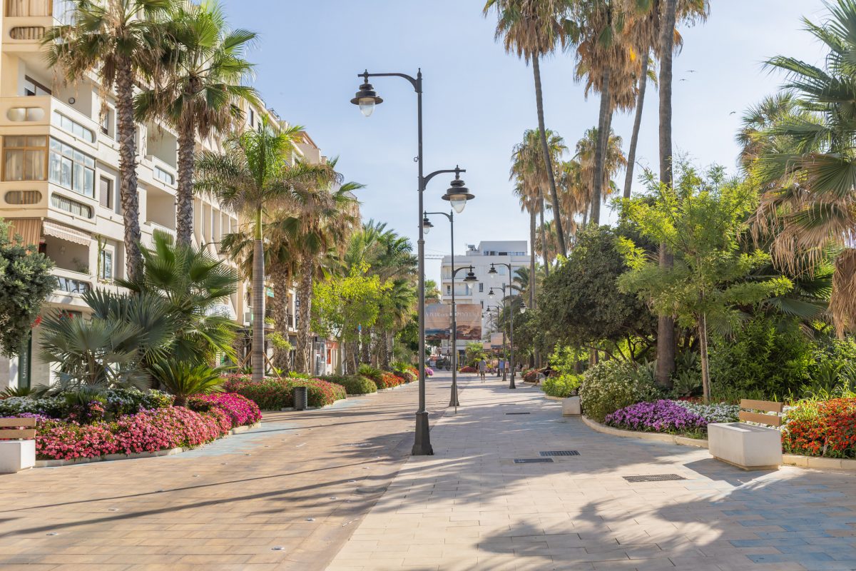 Estepona lanza una App turística para conocer la ciudad en 28 idiomas - IMG 2984 Estepona lanza una App turística para conocer la ciudad en 28 idiomas - IMG 2984