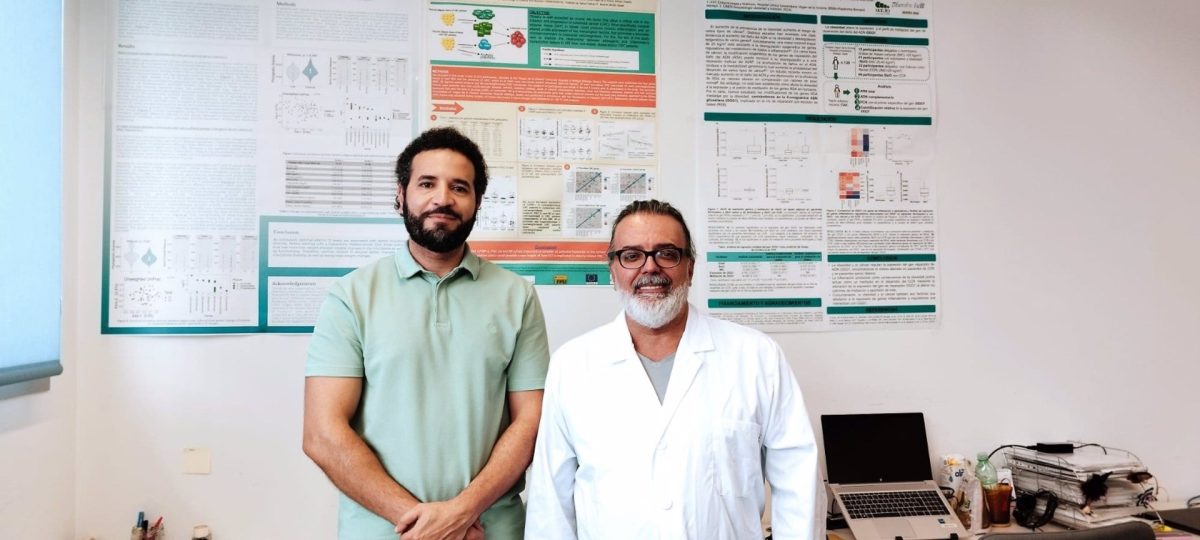 Investigadores aseguran que la dieta mediterránea y el AOVE podrían sumarse a la lucha contra el cáncer - Investigadores Investigadores aseguran que la dieta mediterránea y el AOVE podrían sumarse a la lucha contra el cáncer - Investigadores
