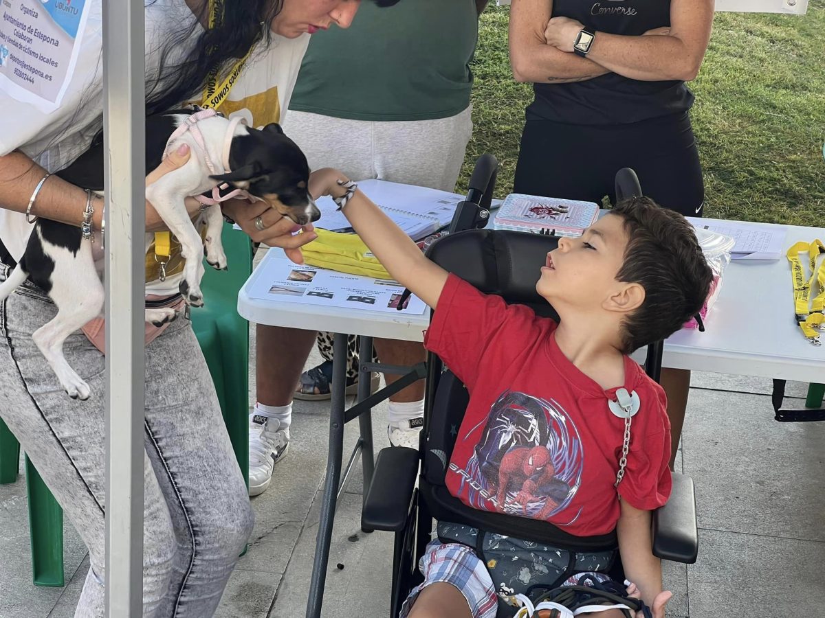 Estepona se vuelca 'pedaleando' con Mario, el pequeño 'guerrero' de cinco años con parálisis cerebral - 387741406 843655877765036 8778934939367821936 n Estepona se vuelca 'pedaleando' con Mario, el pequeño 'guerrero' de cinco años con parálisis cerebral - 387741406 843655877765036 8778934939367821936 n