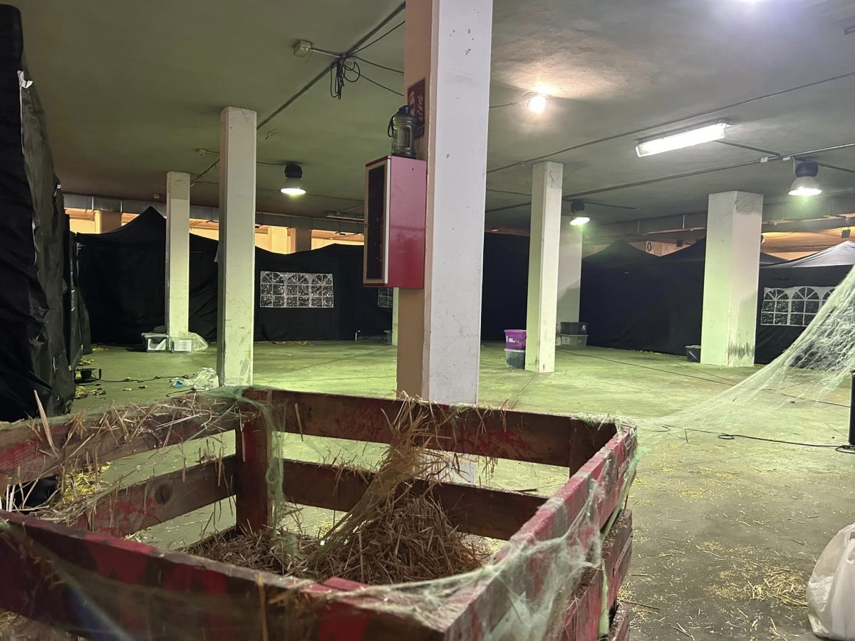 El día más terrorífico de la Costa del Sol: Así se ha vivido Halloween en los distintos municipios - 397081581 860945579369399 8418439707037927956 n El día más terrorífico de la Costa del Sol: Así se ha vivido Halloween en los distintos municipios - 397081581 860945579369399 8418439707037927956 n