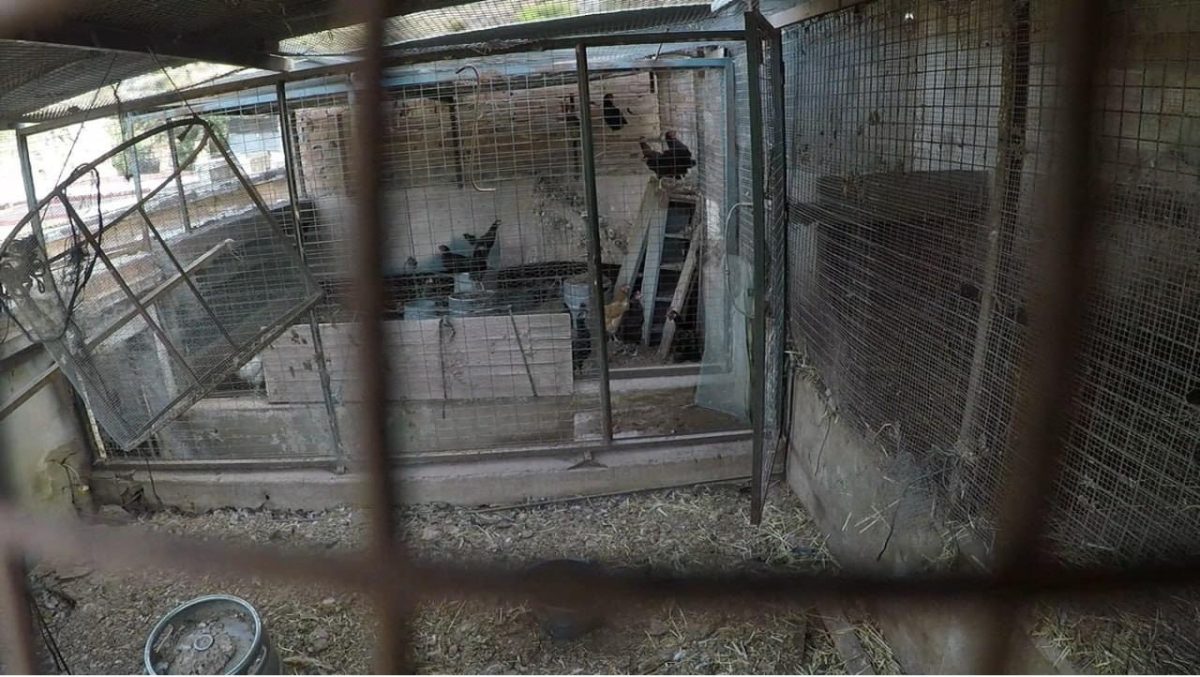 Investigan un criadero con animales en pésimas condiciones en Benalmádena - IMG 4587 Investigan un criadero con animales en pésimas condiciones en Benalmádena - IMG 4587