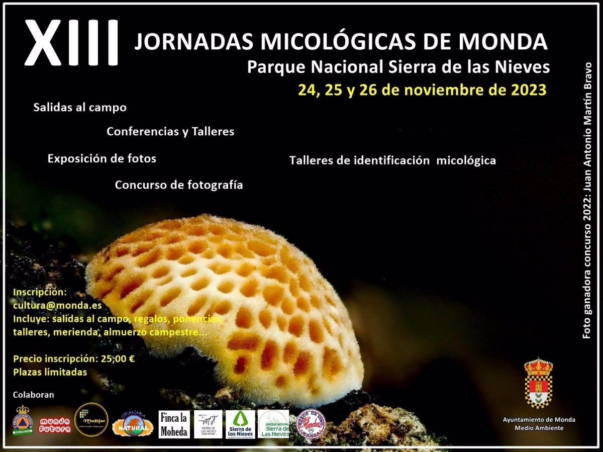 Monda acoge en noviembre las XIII Jornadas Micológicas 'Parque Natural Sierra de las Nieves' - Monda Monda acoge en noviembre las XIII Jornadas Micológicas 'Parque Natural Sierra de las Nieves' - Monda