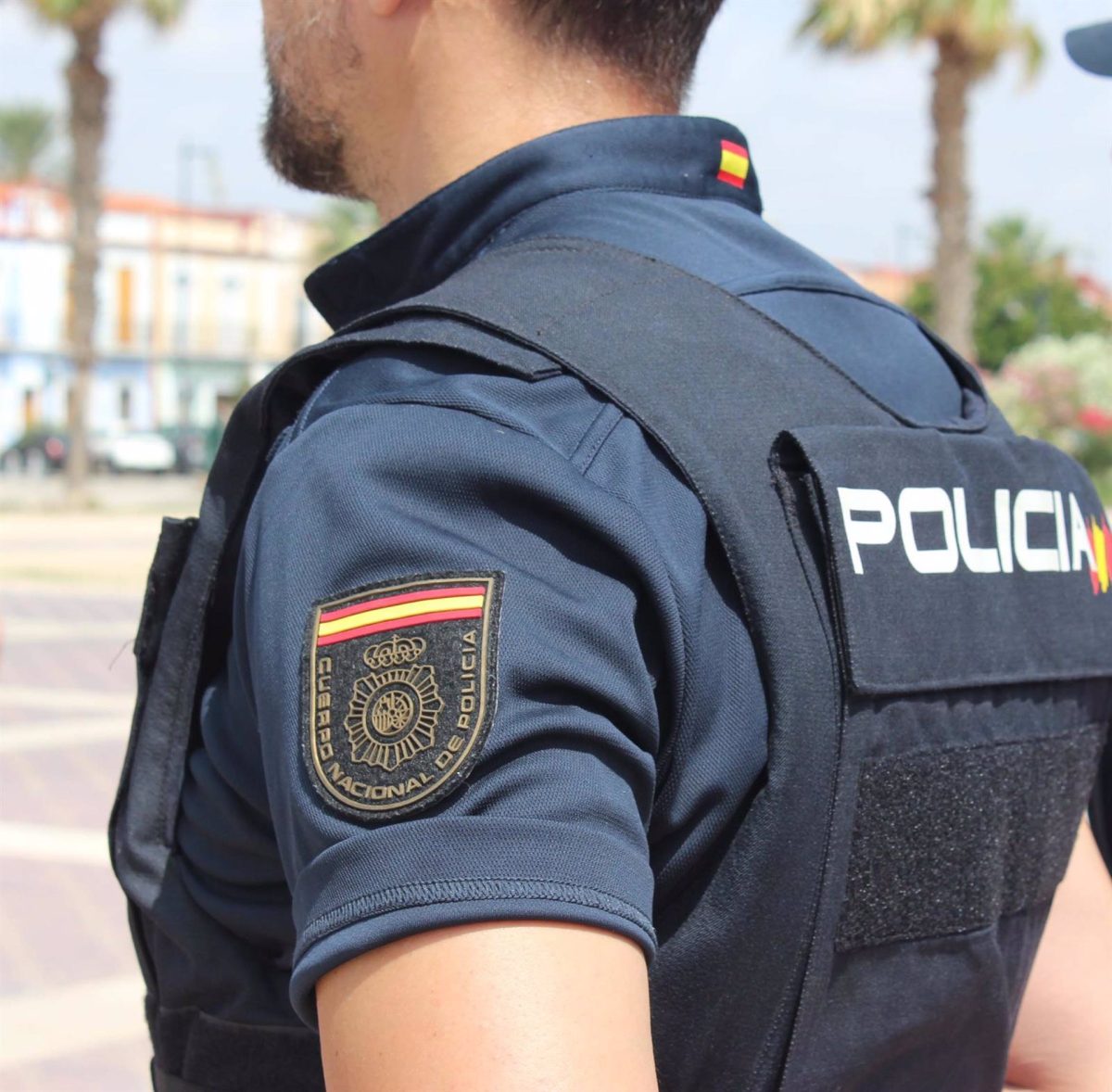 Detienen a una pareja que acondicionó dos casas deshabitadas para cultivo de marihuana - Policia Detienen a una pareja que acondicionó dos casas deshabitadas para cultivo de marihuana - Policia