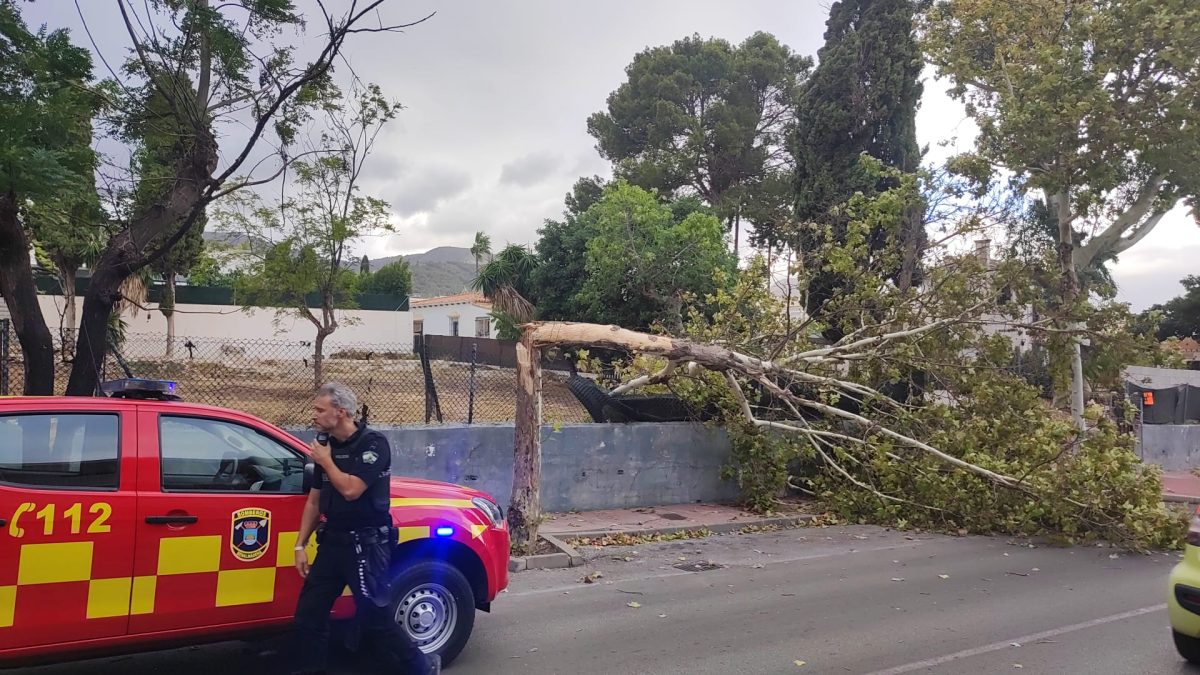 Las rachas de viento más intensas de la provincia se registran en Arroyo de la Miel - WhatsApp Image 2023 10 19 at 18.15.39 Las rachas de viento más intensas de la provincia se registran en Arroyo de la Miel - WhatsApp Image 2023 10 19 at 18.15.39