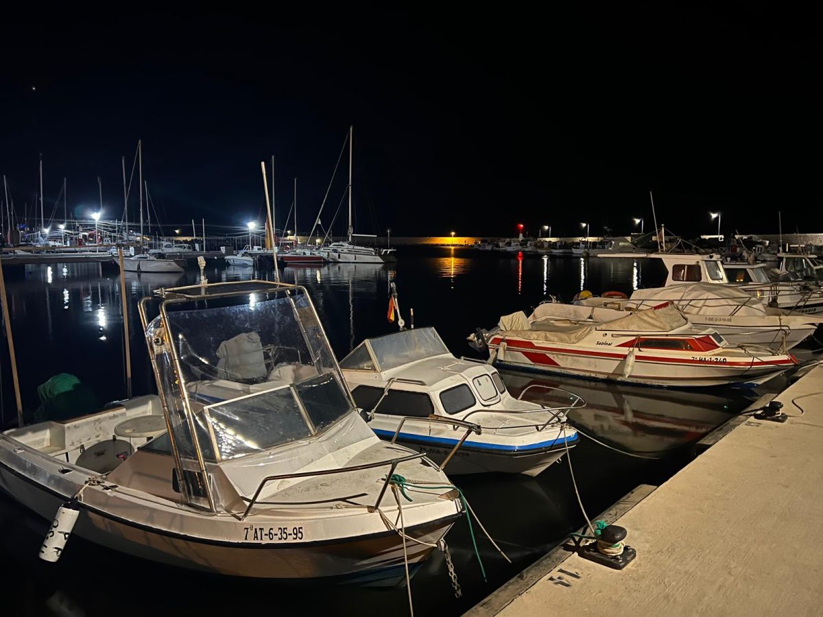 "Nos roban los barcos para el narcotráfico y hasta para la trata de personas", en el Puerto de Estepona - WhatsApp Image 2023 10 31 at 10.53.56 Barcos en el Puerto Deportivo de Estepona. / D.MACÍAS