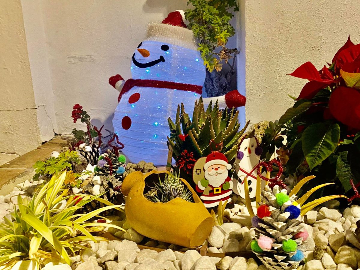 Casares premia tu fachada esta Navidad: Así puedes participar y estos son los premios - 265971021 3158875224394730 3036995800004174500 n Decoración Navideña de Casares