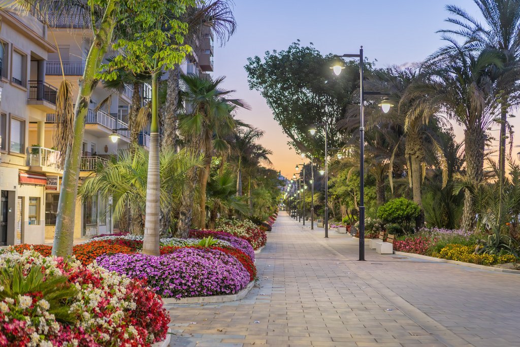 Estepona reducirá su consumo eléctrico en un 30% con la telegestión del alumbrado público - Foto alumbrado Estepona reducirá su consumo eléctrico en un 30% con la telegestión del alumbrado público - Foto alumbrado