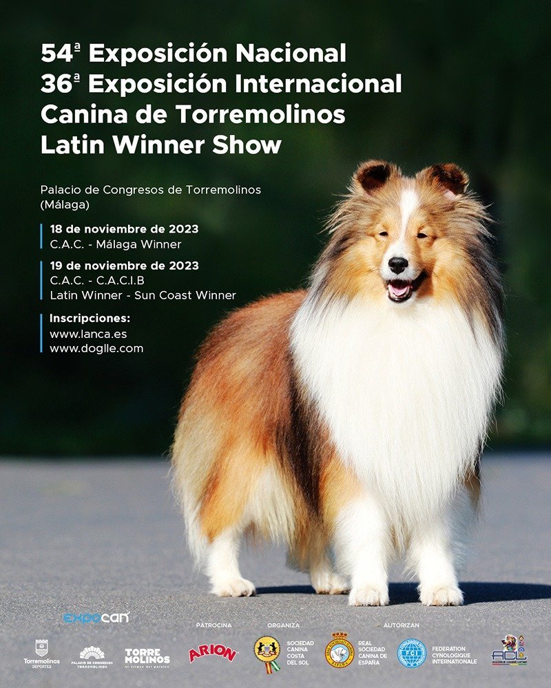 ¿Te gustan los perritos? Tienes una cita este fin de semana en Torremolinos en la Expocan - WhatsApp Image 2023 11 15 at 13.12.58 ¿Te gustan los perritos? Tienes una cita este fin de semana en Torremolinos en la Expocan - WhatsApp Image 2023 11 15 at 13.12.58