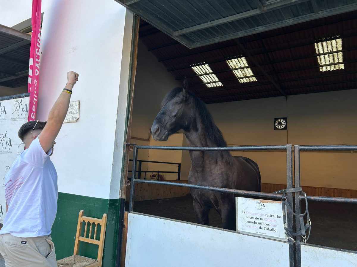 El mejor hotel para caballos está en Marbella, donde sus huéspedes disfrutan en semilibertad - hacienda montemarina.8 El mejor hotel para caballos está en Marbella, donde sus huéspedes disfrutan en semilibertad - hacienda montemarina.8