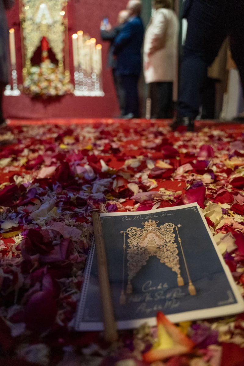 Las imágenes más emotivas del traslado extraordinario del Simpecado por el corazón de Benalmádena - 411840726 758555682968181 4222485269184168734 n Las imágenes más emotivas del traslado extraordinario del Simpecado por el corazón de Benalmádena - 411840726 758555682968181 4222485269184168734 n