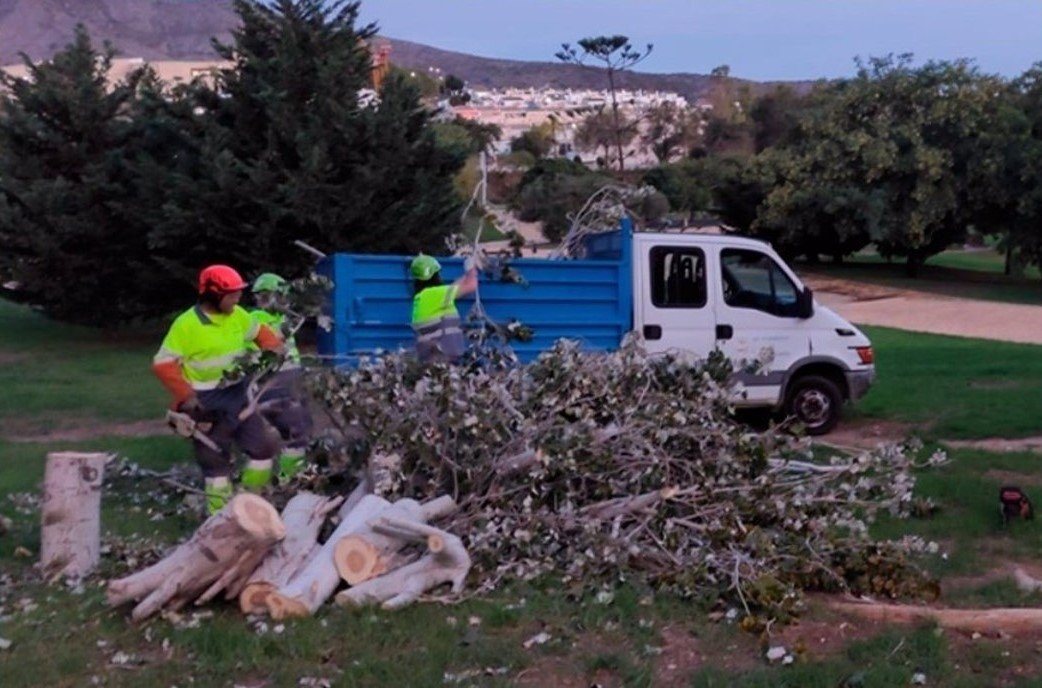 El Ayuntamiento de Torremolinos finaliza 2023 con más de 6.000 actuaciones de mantenimiento - Actuacion Torremolinos recorte El Ayuntamiento de Torremolinos finaliza 2023 con más de 6.000 actuaciones de mantenimiento - Actuacion Torremolinos recorte