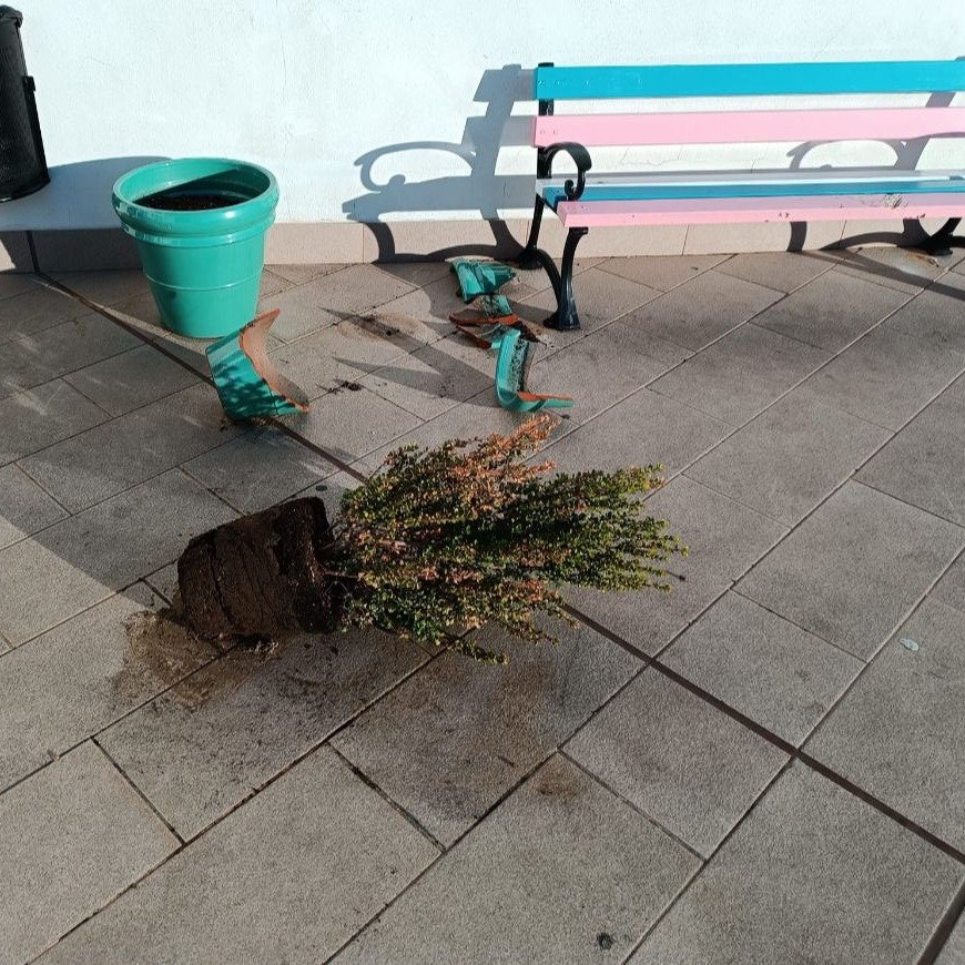 Casares denuncia unos actos vandálicos producidos en la Plaza de la Diversidad - 417412415 811938504311702 7478874675791205727 n 1 Casares denuncia unos actos vandálicos producidos en la Plaza de la Diversidad - 417412415 811938504311702 7478874675791205727 n 1