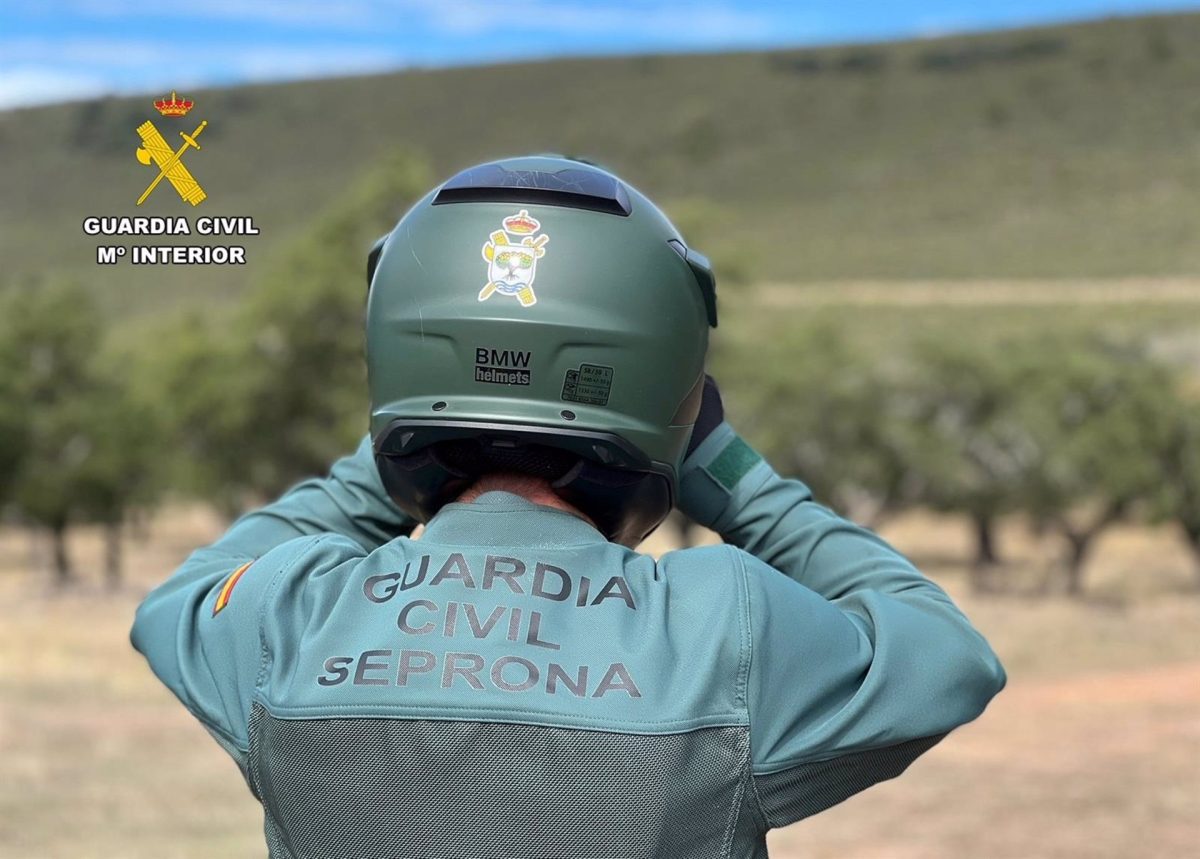 Aumentan las infracciones contra la naturaleza con 29 detenidos y 231 investigados en 2023 - Agente del Seprona Agente del Seprona