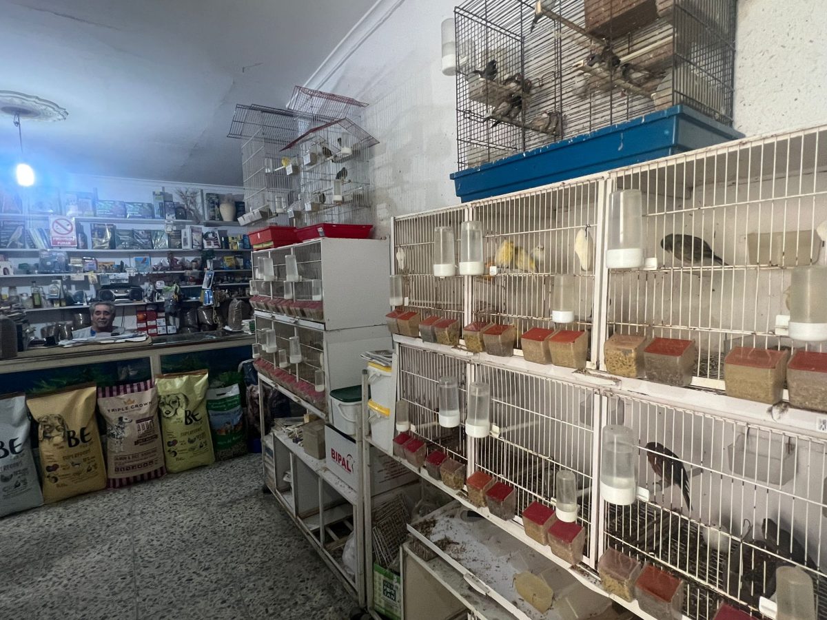 La pajarería del esteponero José Gómez cierra sus puertas tras 30 años ayudando a animales - WhatsApp Image 2024 01 16 at 17.27.44 1 La pajarería del esteponero José Gómez cierra sus puertas tras 30 años ayudando a animales - WhatsApp Image 2024 01 16 at 17.27.44 1
