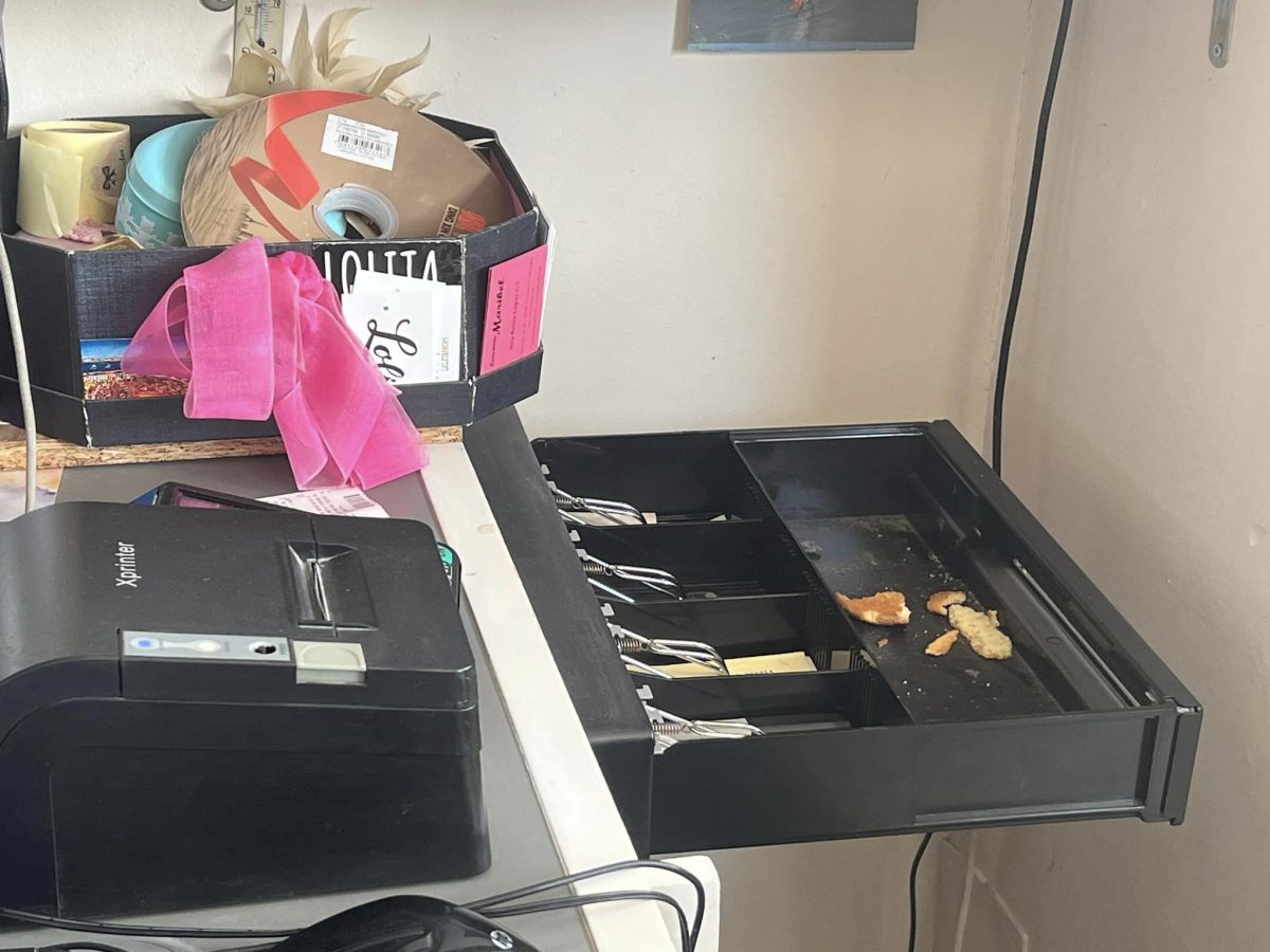 Oleada de robos en los comercios de Estepona - 425853977 931546438975979 6139856218282804586 n