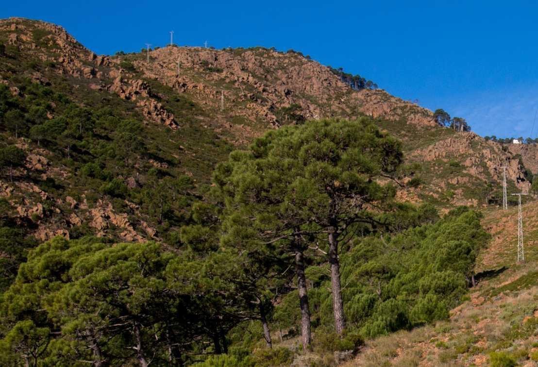 Casares licita la reparación de las tuberías de la Pasada del Pino - IMG 2322 Casares licita la reparación de las tuberías de la Pasada del Pino - IMG 2322