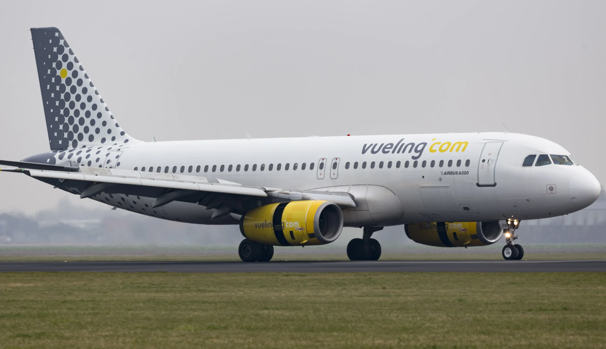 Un avión obligado a regresar al aeropuerto de Málaga tras chocar con un pájaro - IMG 2461 Un avión obligado a regresar al aeropuerto de Málaga tras chocar con un pájaro - IMG 2461