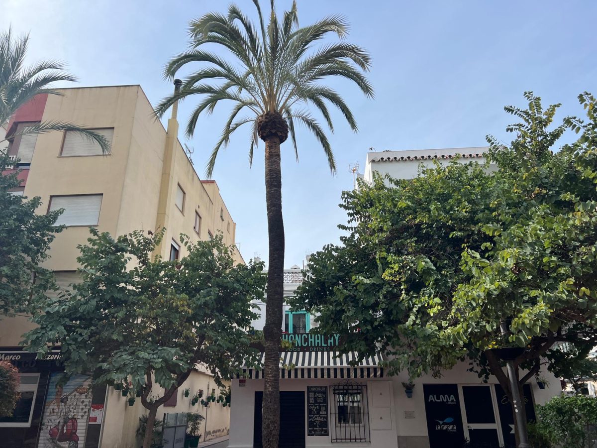 Arde la terraza de un apartamento sobre el bar Chanchalay en Estepona - WhatsApp Image 2024 02 05 at 13.16.31 Arde la terraza de un apartamento sobre el bar Chanchalay en Estepona - WhatsApp Image 2024 02 05 at 13.16.31