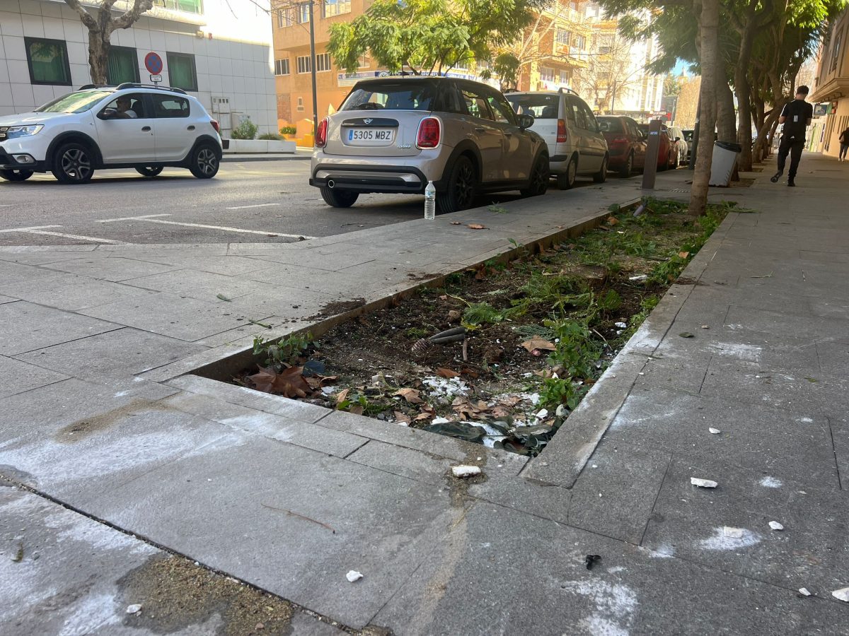 Un camión se estrella en la Avenida Andalucía después de que el conductor sufra un desmayo en Estepona - WhatsApp Image 2024 02 20 at 15.44.06 1 1 Un camión se estrella en la Avenida Andalucía después de que el conductor sufra un desmayo en Estepona - WhatsApp Image 2024 02 20 at 15.44.06 1 1