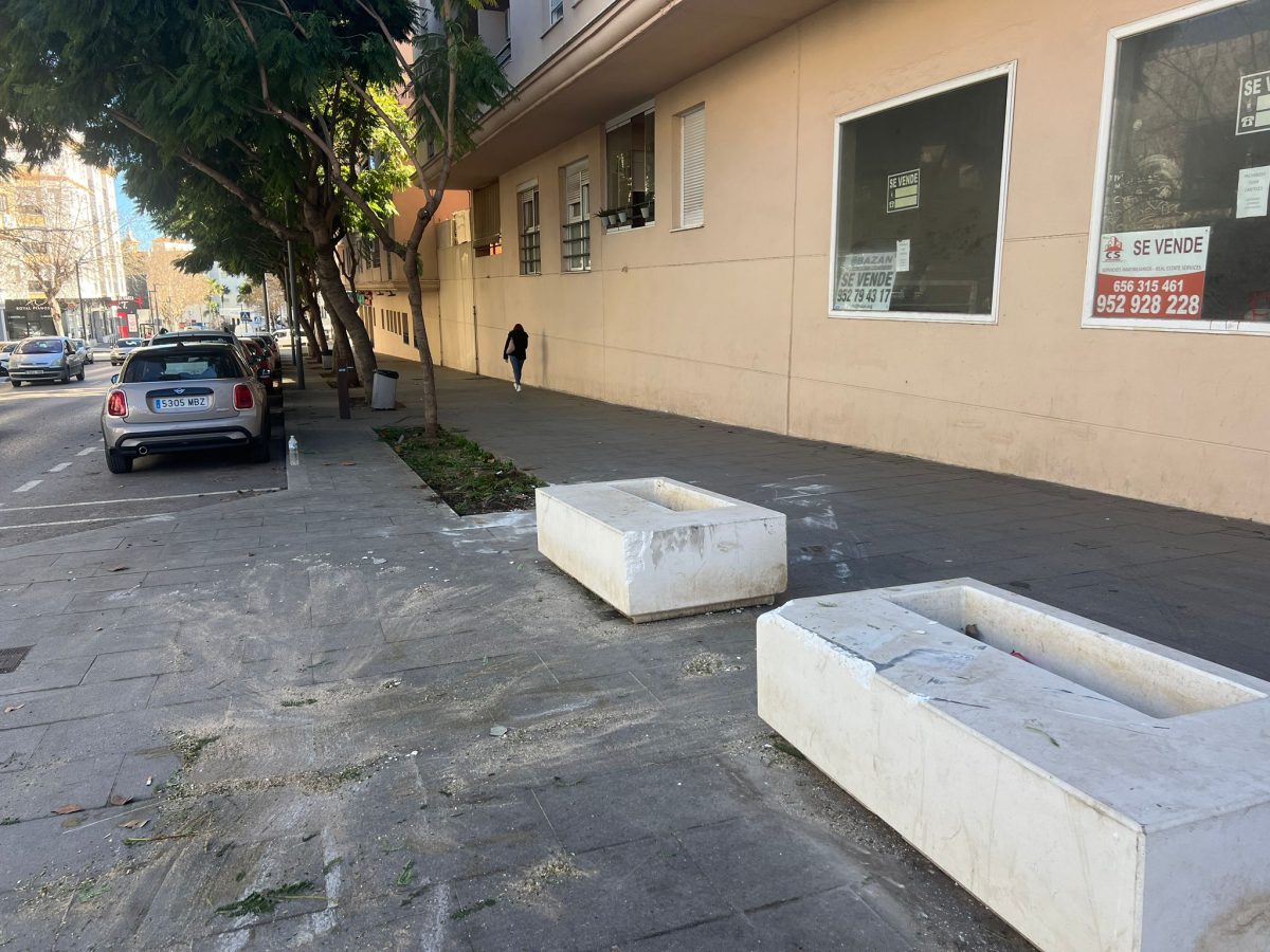 Un camión se estrella en la Avenida Andalucía después de que el conductor sufra un desmayo en Estepona - WhatsApp Image 2024 02 20 at 15.44.06 2 Un camión se estrella en la Avenida Andalucía después de que el conductor sufra un desmayo en Estepona - WhatsApp Image 2024 02 20 at 15.44.06 2