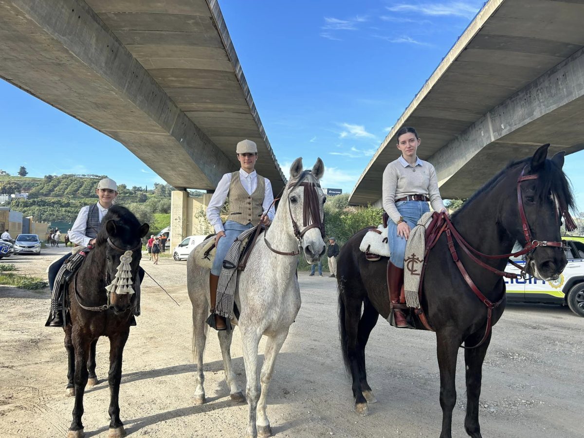 Mijas acoge un año más la Ruta Ecuestre, que supera el centenar de participantes - 433288261 958343326296290 7556852348742291942 n Mijas acoge un año más la Ruta Ecuestre, que supera el centenar de participantes - 433288261 958343326296290 7556852348742291942 n