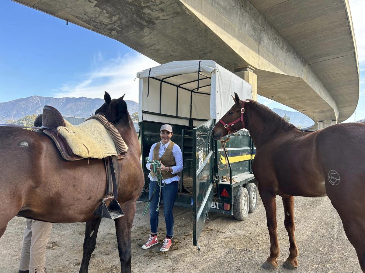 Mijas acoge un año más la Ruta Ecuestre, que supera el centenar de participantes - 433314072 958342959629660 254091450214769560 n Mijas acoge un año más la Ruta Ecuestre, que supera el centenar de participantes - 433314072 958342959629660 254091450214769560 n