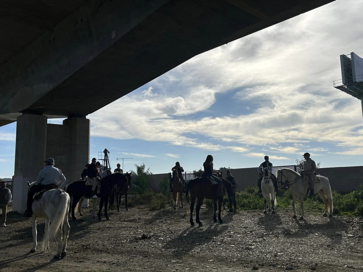 Mijas acoge un año más la Ruta Ecuestre, que supera el centenar de participantes - 433360744 958343332962956 9026713420500259757 n Mijas acoge un año más la Ruta Ecuestre, que supera el centenar de participantes - 433360744 958343332962956 9026713420500259757 n