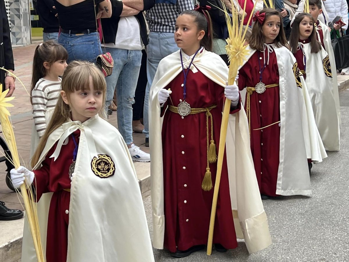 La Hermandad de la Borriquita de Estepona inicia su estación de penitencia, pero se ve obligada a acortarla - 434186947 964199895710633 5877636511849992338 n La Hermandad de la Borriquita de Estepona inicia su estación de penitencia, pero se ve obligada a acortarla - 434186947 964199895710633 5877636511849992338 n