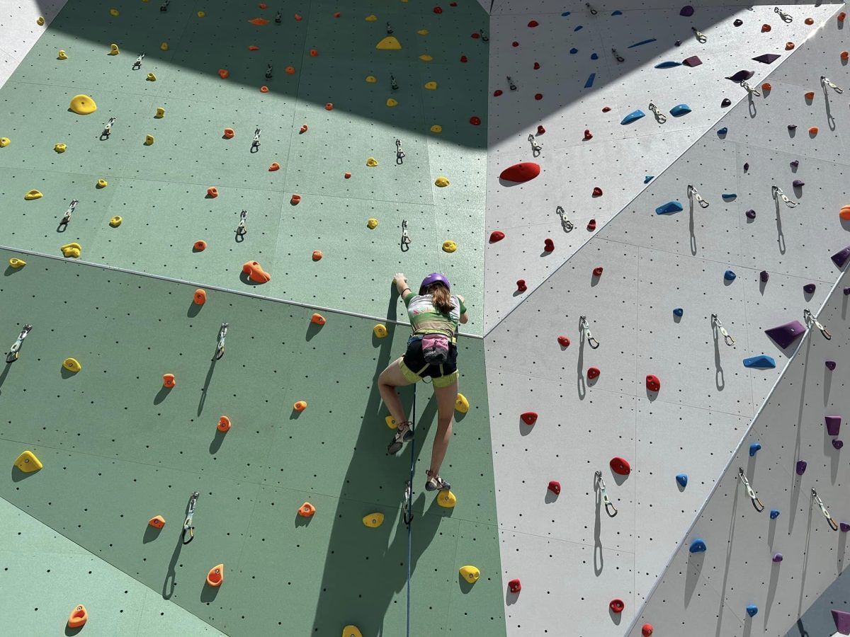 Así será el campamento de escalada que reunirá en Estepona a la cantera andaluza del deporte - Portada rocodromo Portada rocódromo