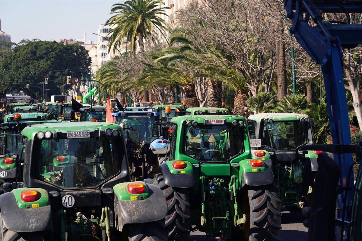 Los agricultores malagueños retoman la protesta y se concentran frente a la Subdelegación - fotonoticia 20240313063252 1920 Los agricultores malagueños retoman la protesta y se concentran frente a la Subdelegación - fotonoticia 20240313063252 1920
